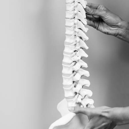 Chiropractic Westford MA Neck Pain